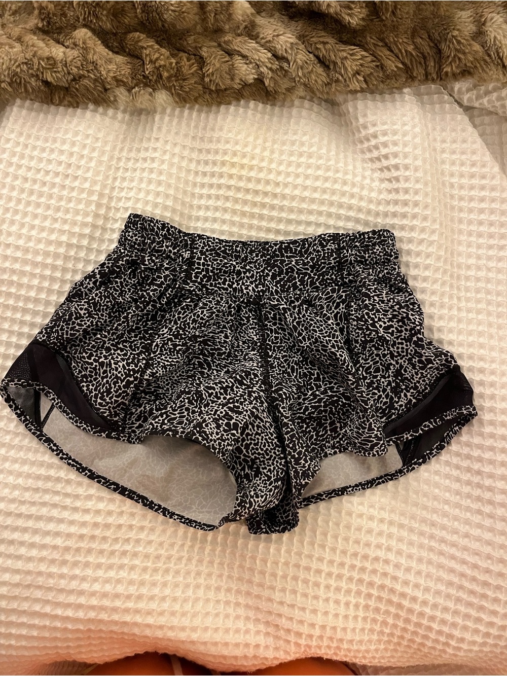 Lululemon 2.5” hotty hot shorts
